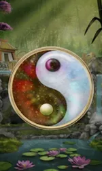 Panda Money